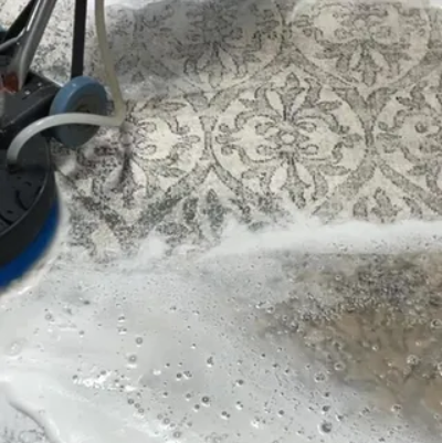 rug washing shampoo wash